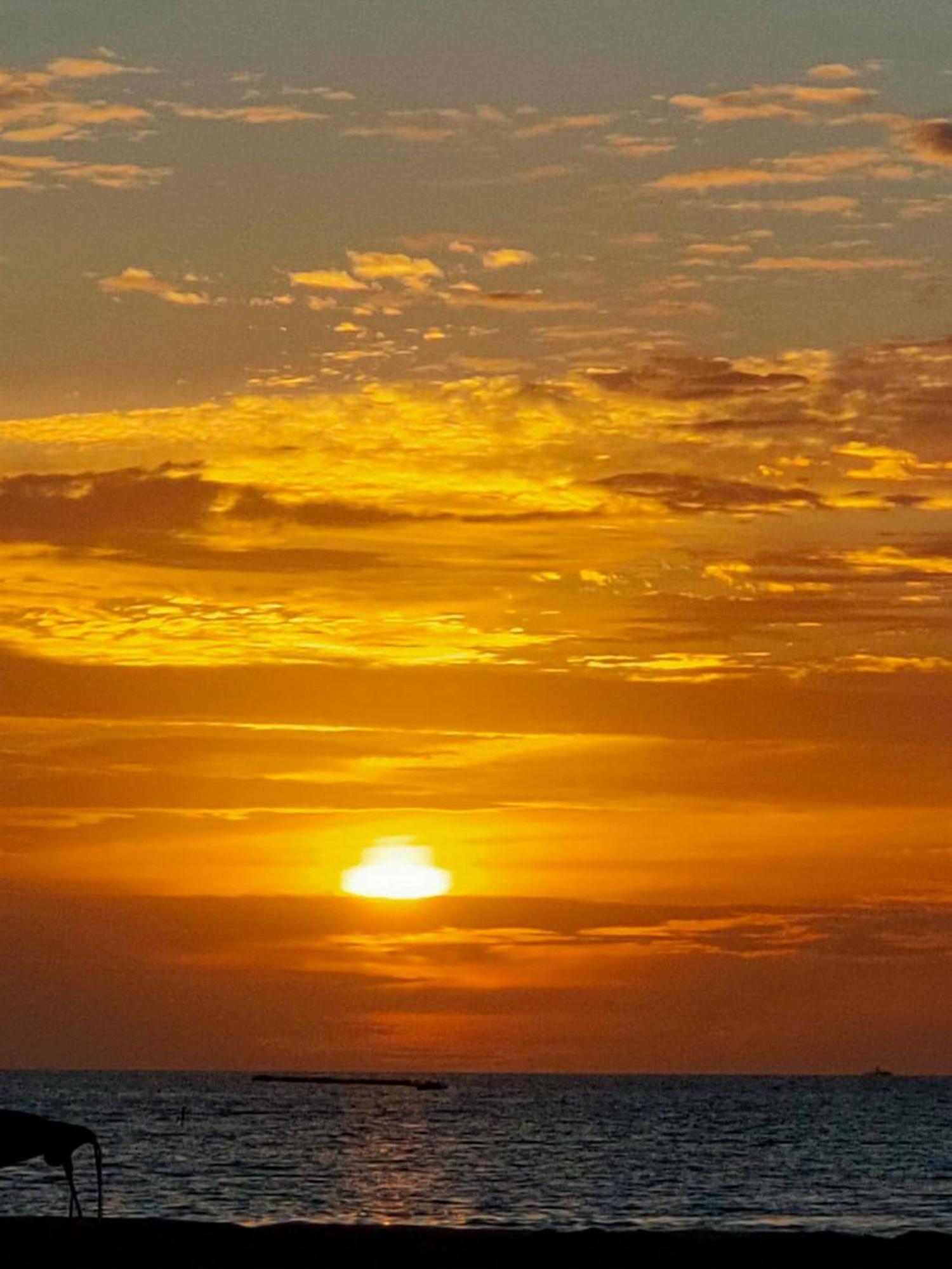 Wind Breeze Sunset View Inn Guraidhoo  Exteriér fotografie